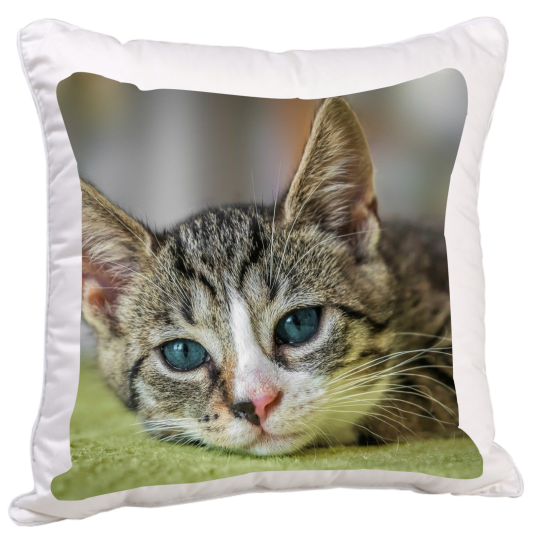 Fotopolštář z 1 fotky