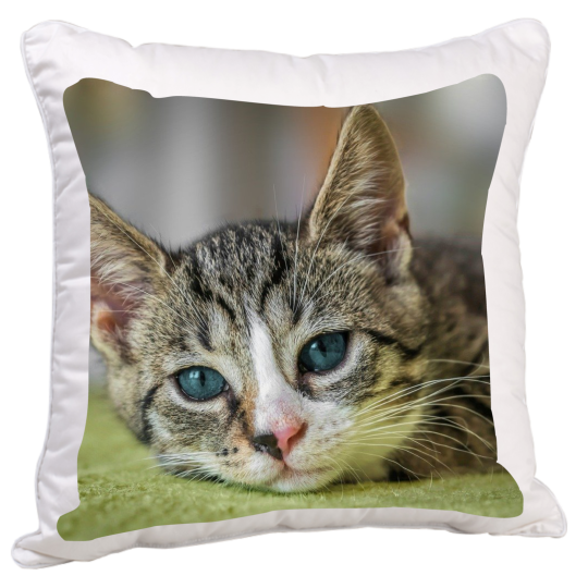 Fotopolštář z 1 fotky